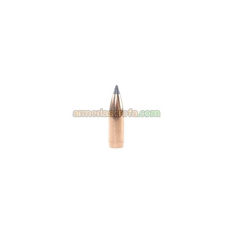 Puntas Cal. 8mm-180-Spitzer Nosler Ballistic Tip ( Nosler Bullets Armeria Scrofa
