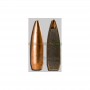 Puntas cal. 243/6mm-105gr HPBT Nosler Comp. 250un. Nosler Bullets Armeria Scrofa