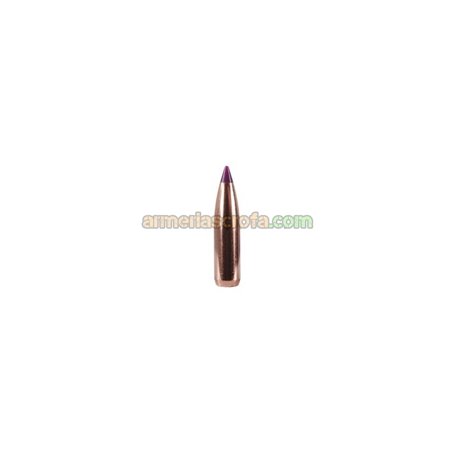 Puntas Cal. 243/6mm-090-Spitzer Nosler Ballistic T Nosler Bullets Armeria Scrofa
