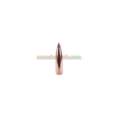 Puntas Cal. 243/6mm-095-Spitzer Nosler Ballistic T Nosler Bullets Armeria Scrofa