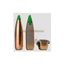 Puntas Cal. 7mm-120 Spitzer Nosler Ballistic Tip ( Nosler Bullets Armeria Scrofa